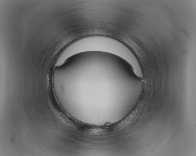 X0000111190158200907221116