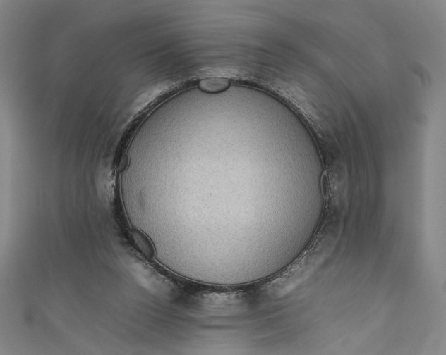 X0000111190160200907221117