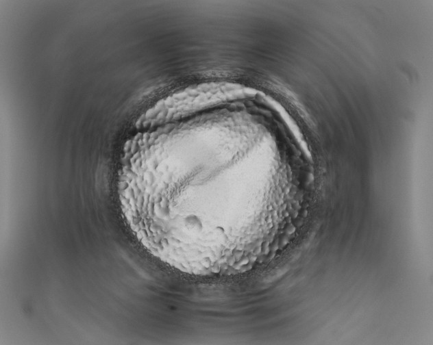 X0000111190161200907221117