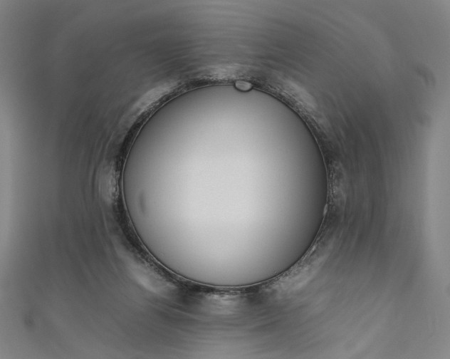 X0000111190164200907221117