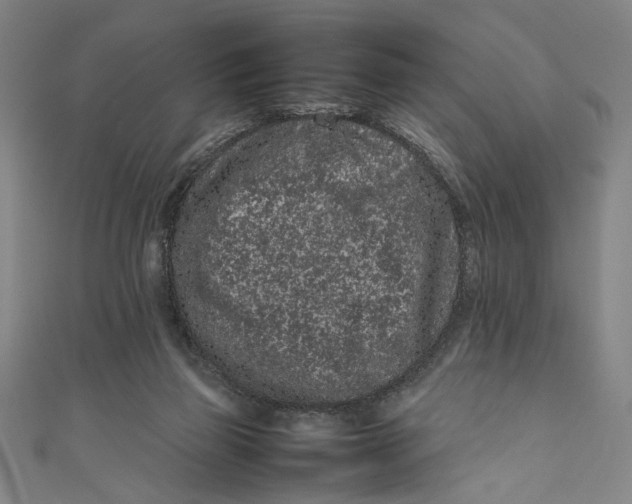 X0000111190165200907221117