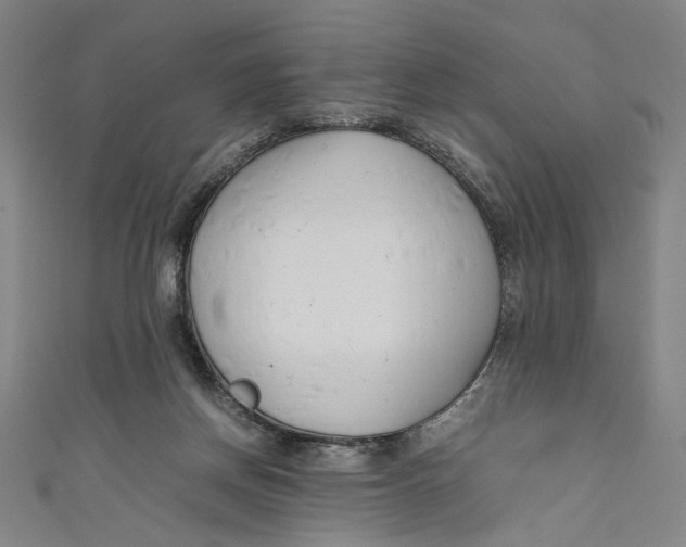 X0000111190166200907221117