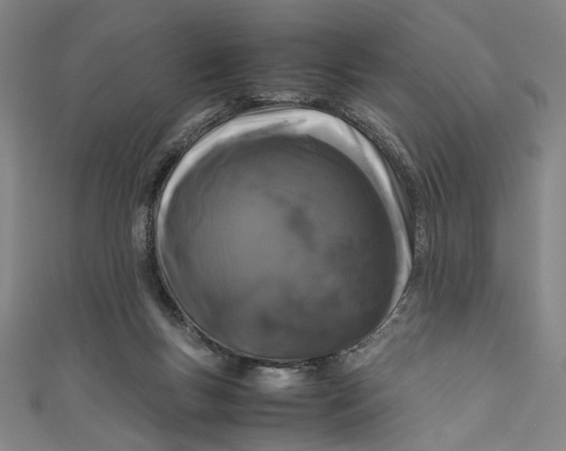 X0000111190167200907221117