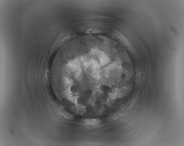 X0000111190169200907221117