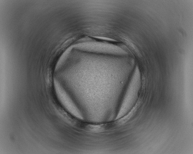 X0000111190170200907221117