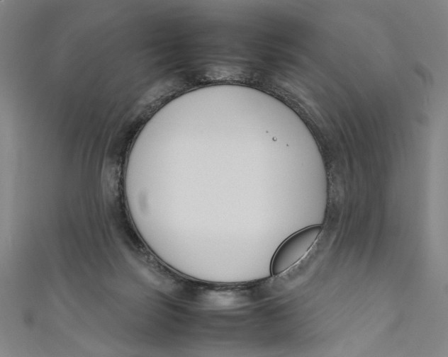 X0000111190171200907221117