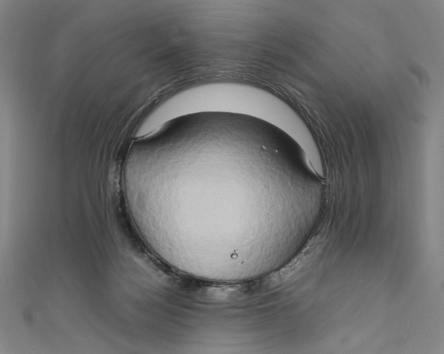 X0000111190172200907221117