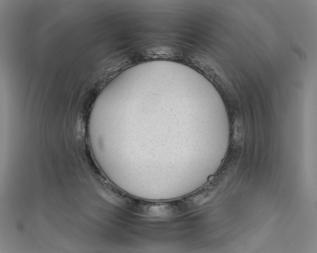 X0000111190173200907221117