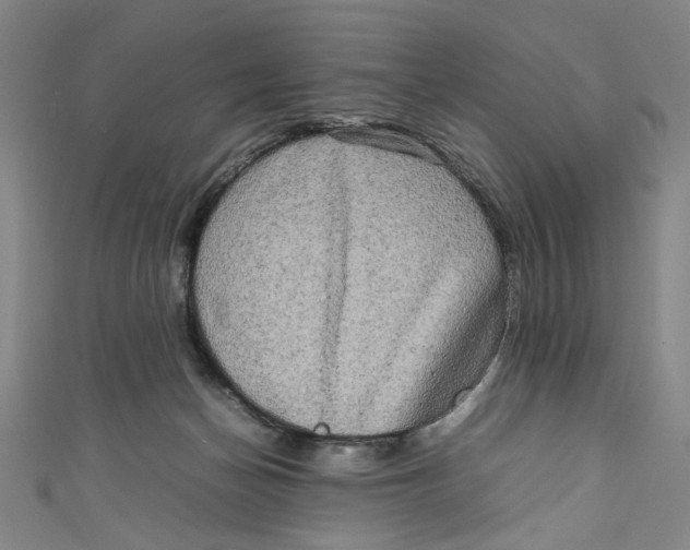 X0000111190174200907221117