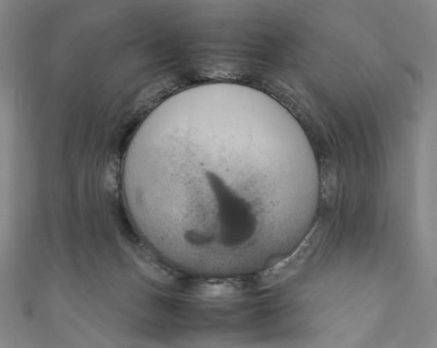 X0000111190175200907221117