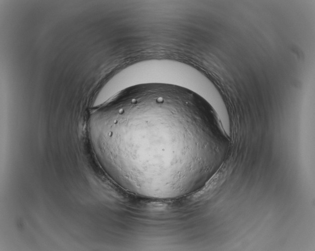 X0000111190176200907221117