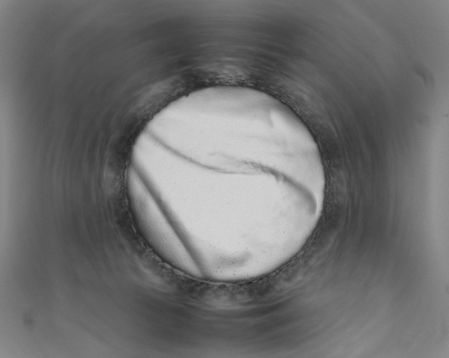 X0000111190177200907221117