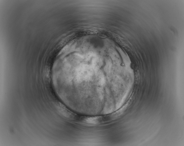 X0000111190178200907221117