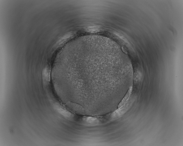 X0000111190180200907221117