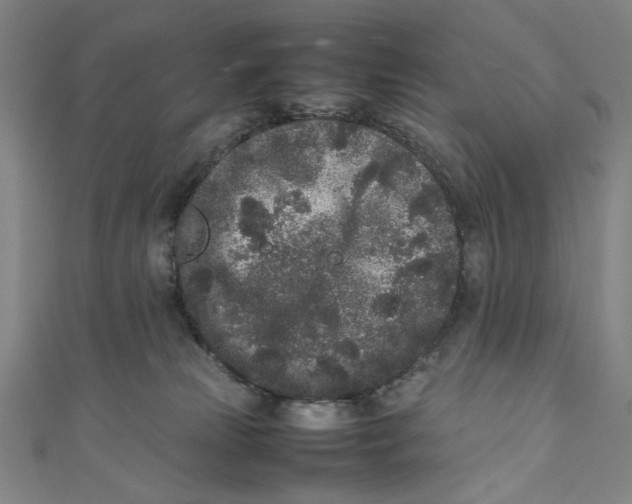 X0000111190181200907221117