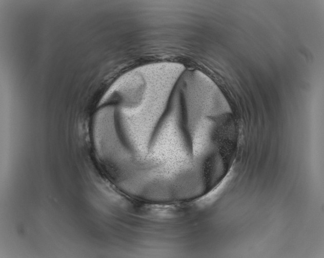 X0000111190182200907221117