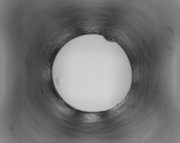 X0000111190183200907221117