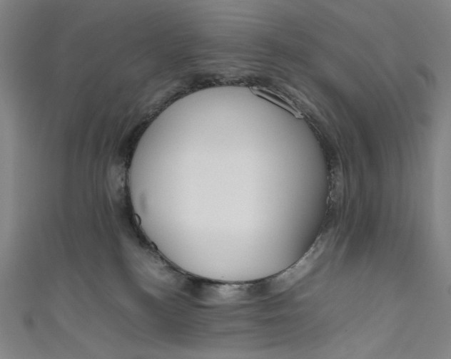 X0000111190184200907221117