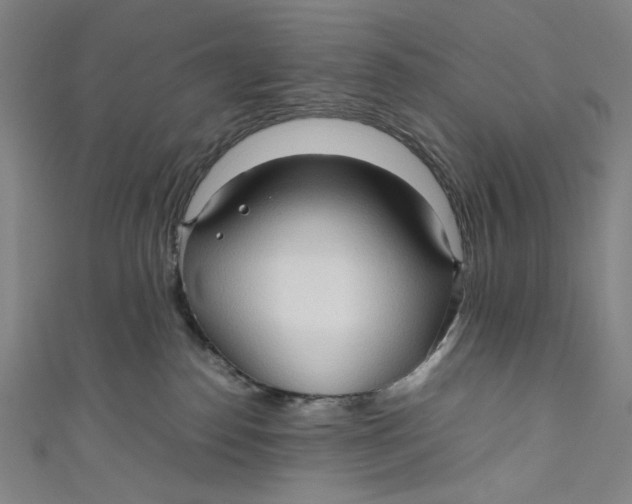 X0000111190186200907221117