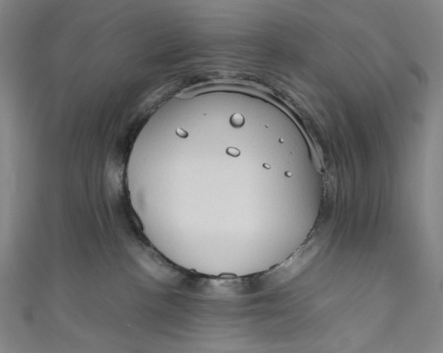 X0000111190188200907221117