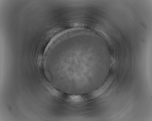 X0000111190189200907221117