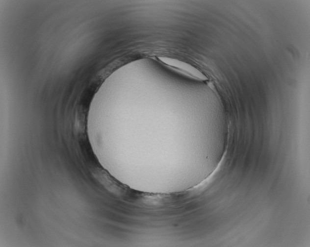 X0000111190190200907221117