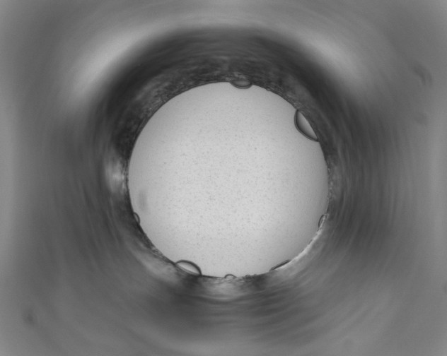 X0000111190191200907221117