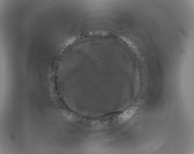 X0000111190192200907221117