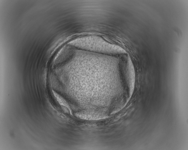 X0000111190194200907221116