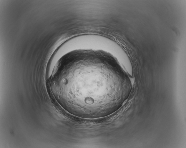 X0000111190195200907221116