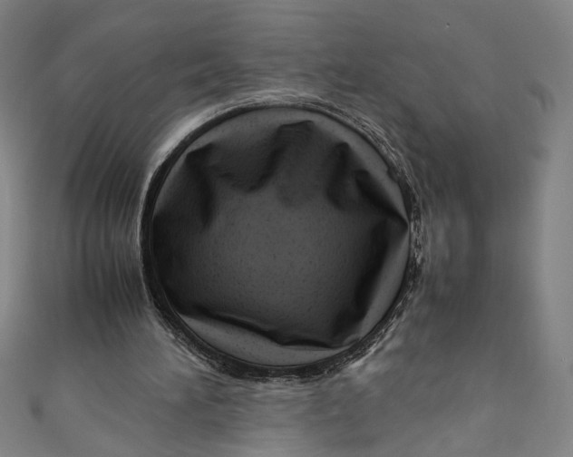 X0000111190196200907221116