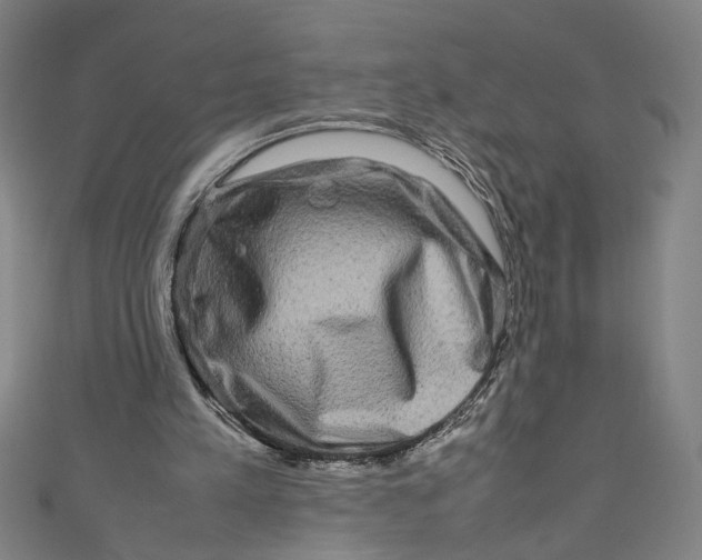 X0000111190197200907221116