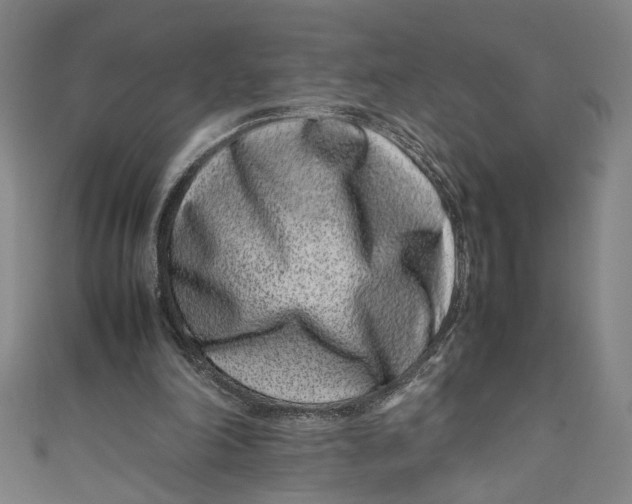 X0000111190198200907221116