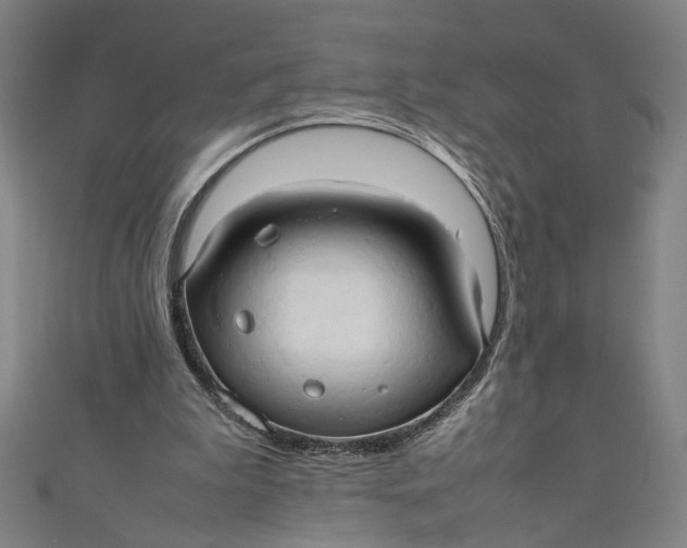 X0000111190199200907221116