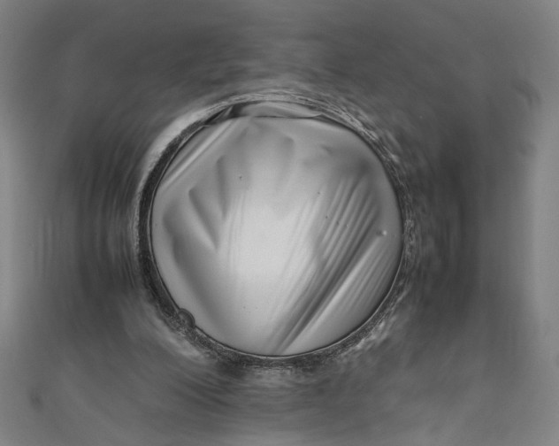 X0000111190200200907221116