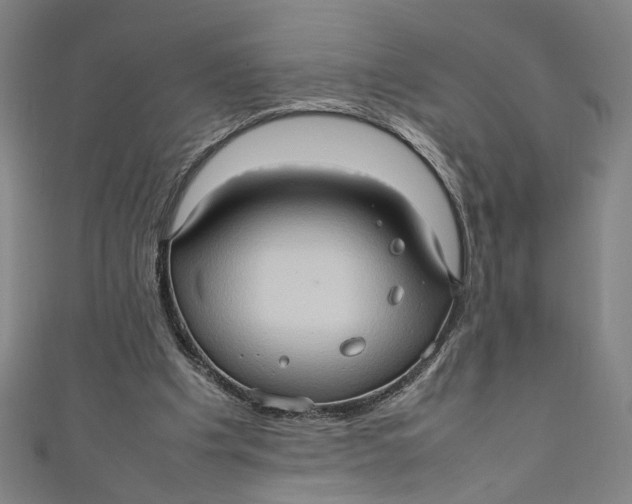 X0000111190201200907221116