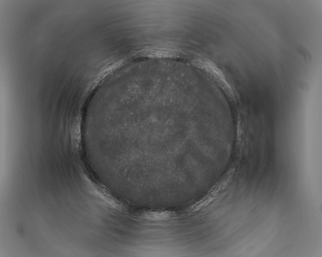 X0000111190202200907221116