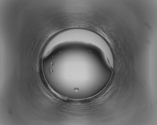 X0000111190203200907221116