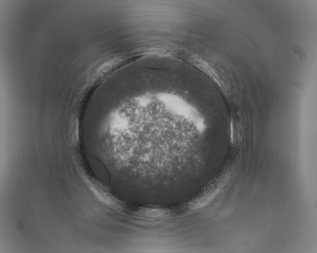 X0000111190205200907221116