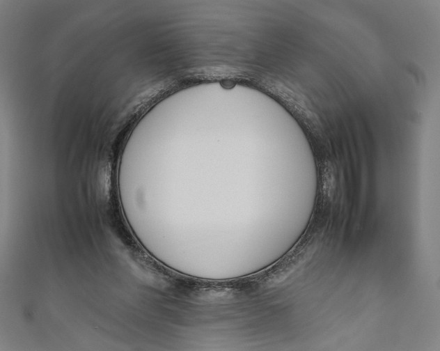 X0000111190206200907221116