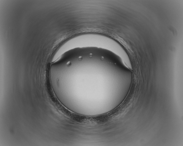 X0000111190207200907221116