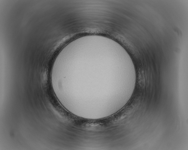 X0000111190208200907221116