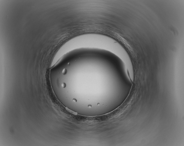 X0000111190209200907221116