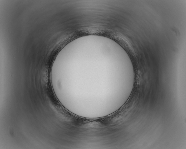 X0000111190210200907221116