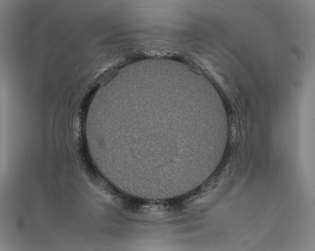 X0000111190211200907221116