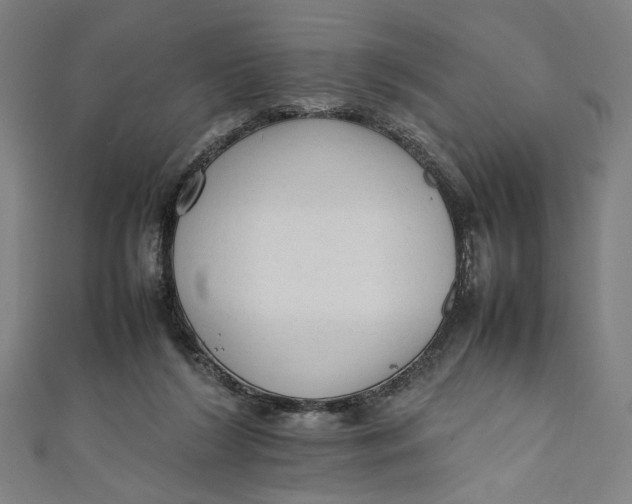 X0000111190212200907221116