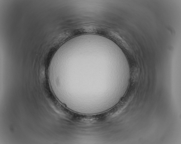 X0000111190213200907221116