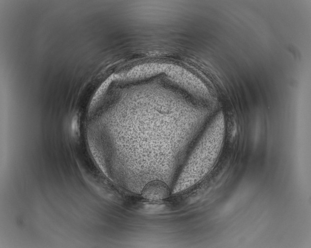 X0000111190214200907221116