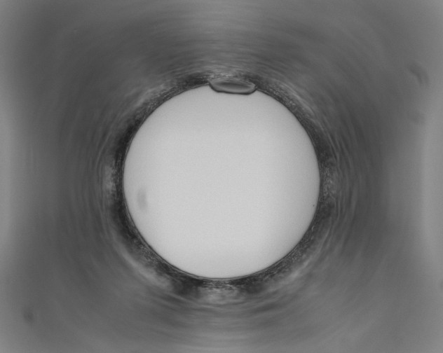 X0000111190215200907221116