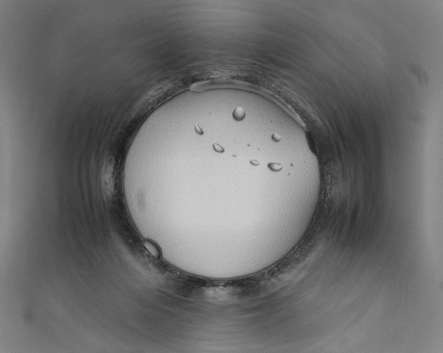 X0000111190216200907221116